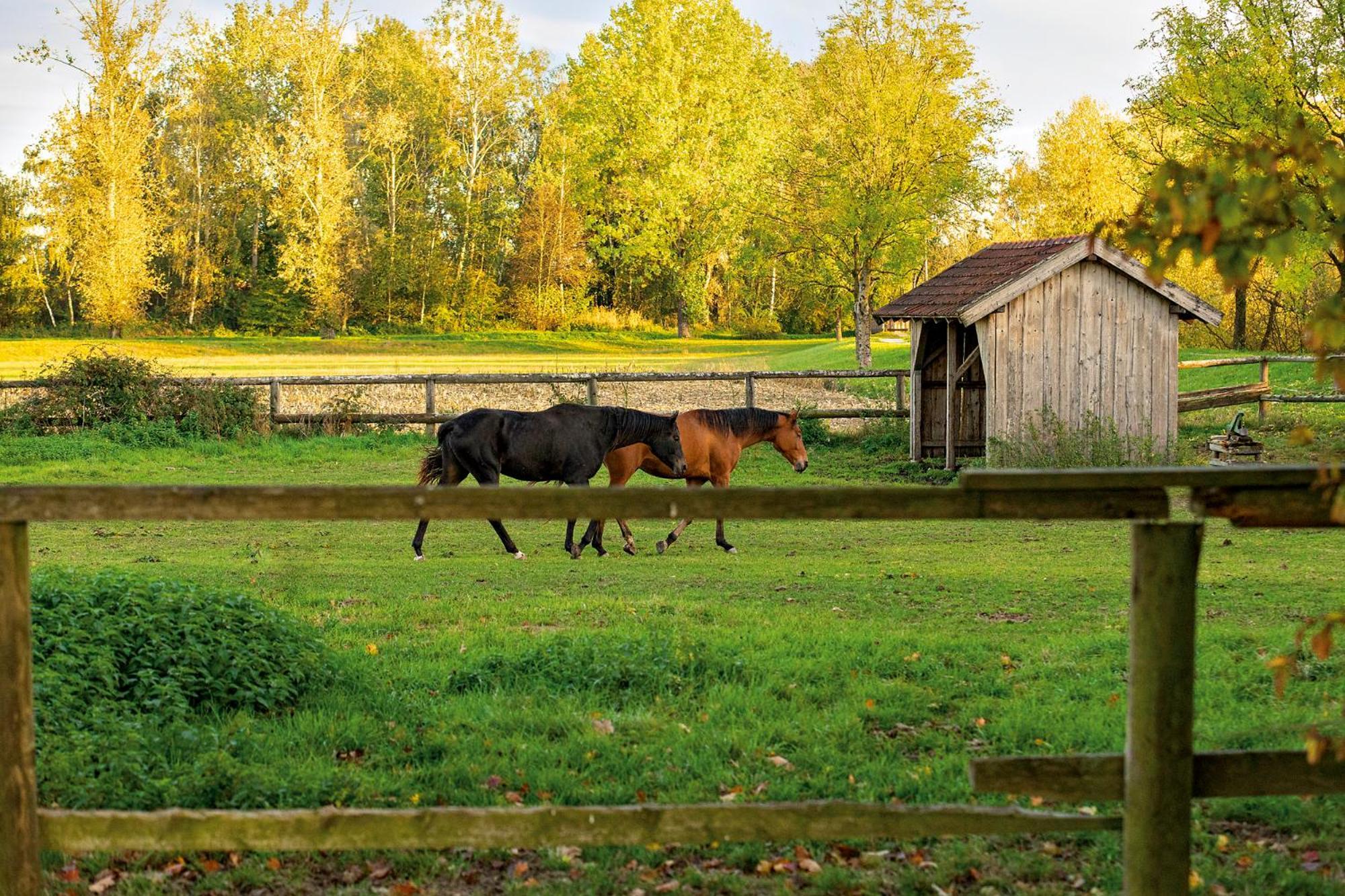 Chalet An Der Brunnader - Ihr Perfekter Rueckzugsort In Der Bayerischen Toskana Bad Birnbach Bagian luar foto